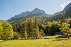 Sentier-des-cascades-cirque-saint-meme-16