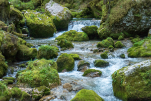 Sentier-des-cascades-cirque-saint-meme-18