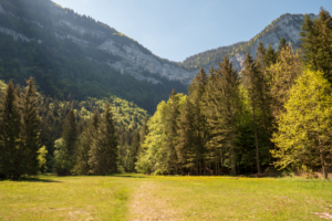 Sentier-des-cascades-cirque-saint-meme-20