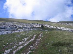 descente plateau