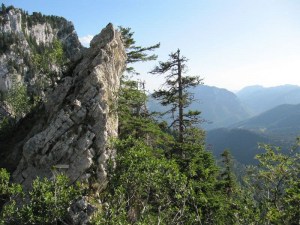 descente pas du loup