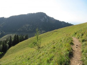 descente vers col ruchere