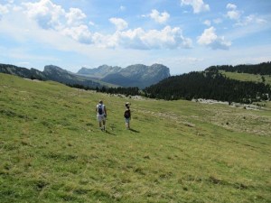 descente vue plateaux