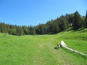 photo 02