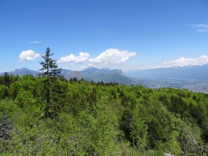 photo 02