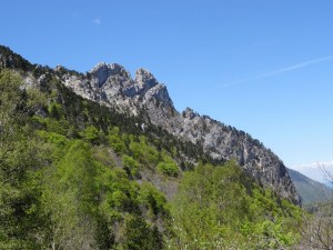 photo 05
