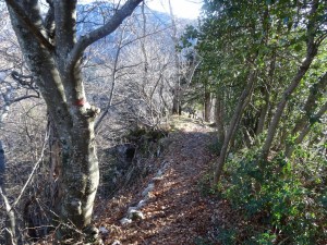 photo 04