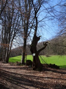 photo 04