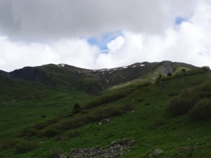 photo 08