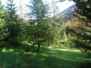photo 04