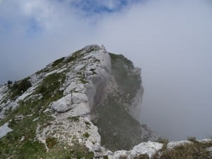 DSC07596 - Copy