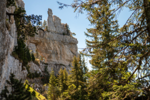 Arche-a-l-aiguille-sangle-de-la-barrere-dent-crolles-22