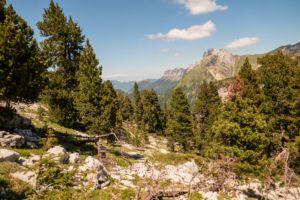 Arche-a-l-aiguille-sangle-de-la-barrere-dent-crolles-26