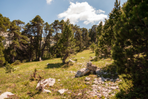 Arche-a-l-aiguille-sangle-de-la-barrere-dent-crolles-27