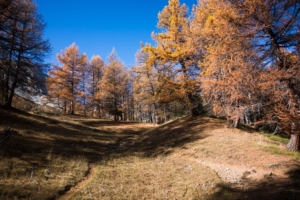 lac-des-beraudes-lac-rouge-4