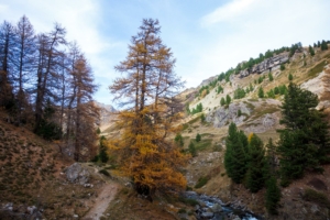 lac-long-rond-muande-madeleine-nevache-40