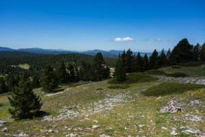 pas-de-berrieves-jasse-du-play-22