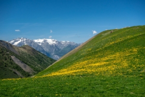 plateau-emparis-lac-noir-4