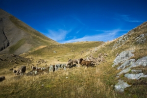 tour-plateau-des-lacs-grandes-rousses-huez-5