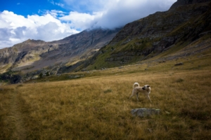 tuba-tour-grand-pinier-trek-3j-ecrins-23