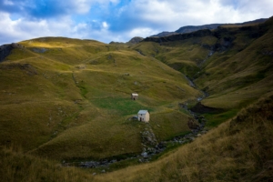 tuba-tour-grand-pinier-trek-3j-ecrins-54