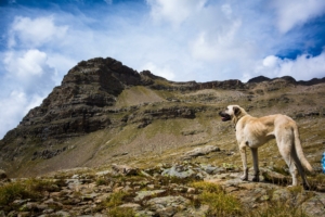 tuba-tour-grand-pinier-trek-3j-ecrins-9